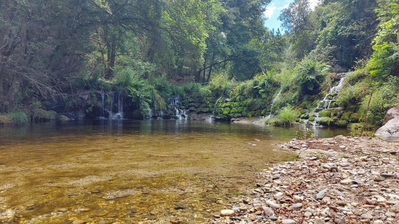 Sitio Dos Cogumelos Alojamentos Amarante Exteriér fotografie